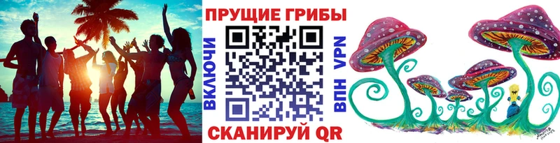MEGA tor Усть-Лабинск Псилоцибиновые грибы Psilocybe